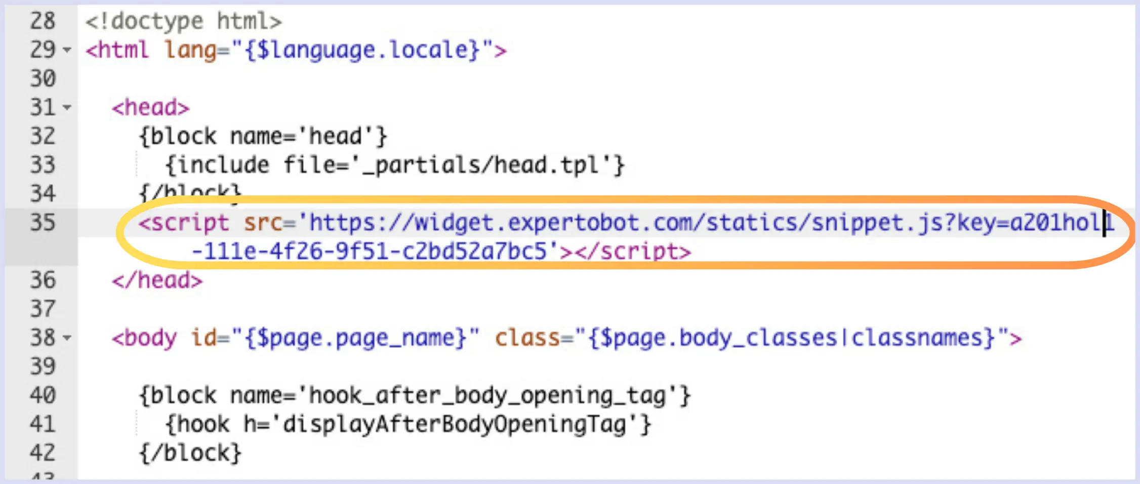 Script en head